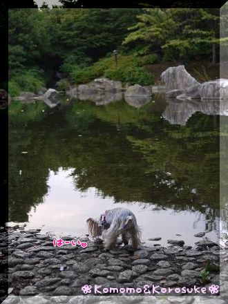 は～い