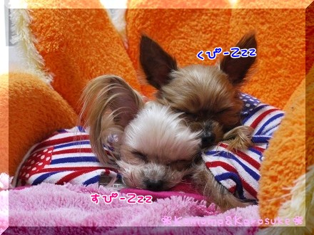 Zzz