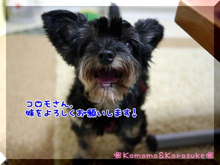 お願い