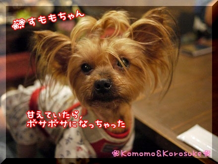 すももちゃん