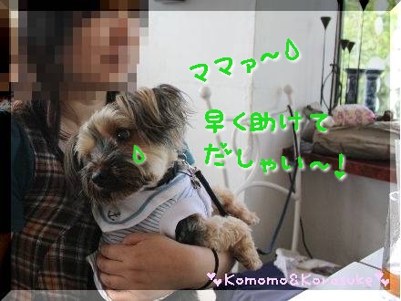 たしゅけて～