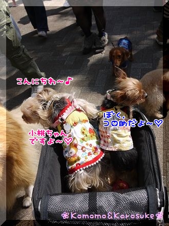 こんにちわ～