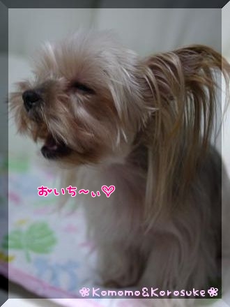 美味しい顔