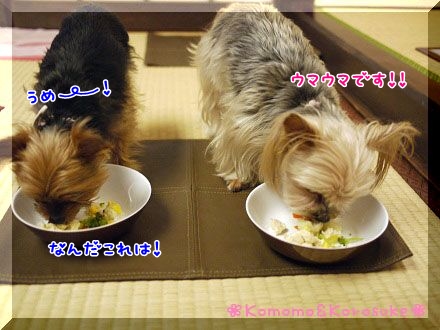 うまうま