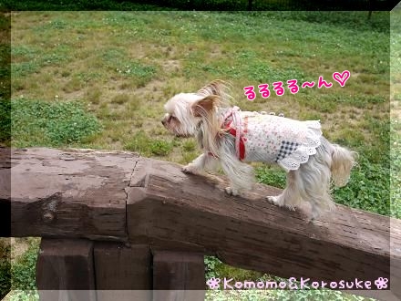 るるるる～ん