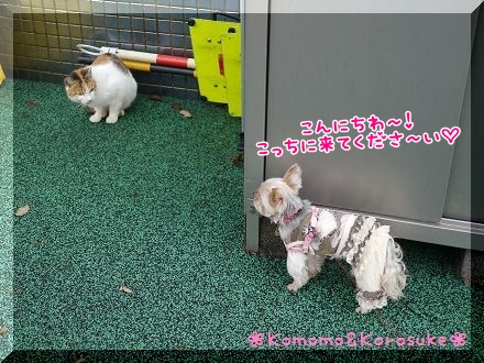 ご挨拶