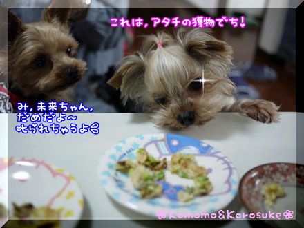 ハンター未来
