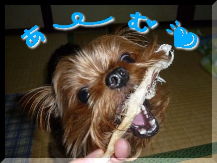 あーむ