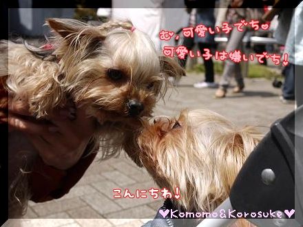 ご挨拶？？