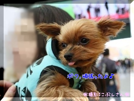 抱っこ