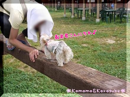 こんにちわ