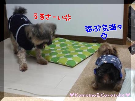 うるさーい！