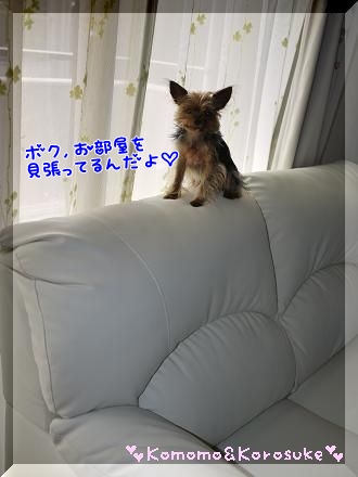 見張り番