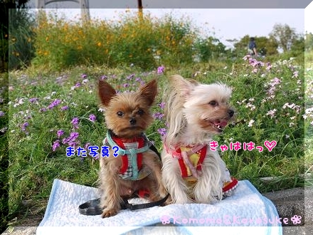 うんざり