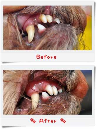 BeforeAfter