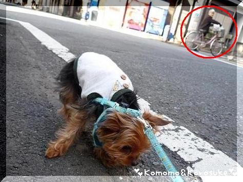 必死！！