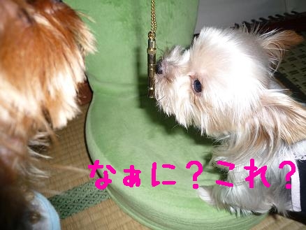 犬笛