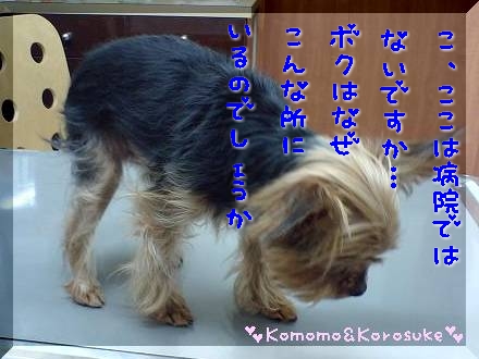 どよ～ん