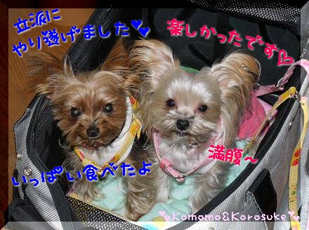 やり遂げた