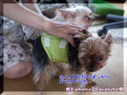 すねてるべ