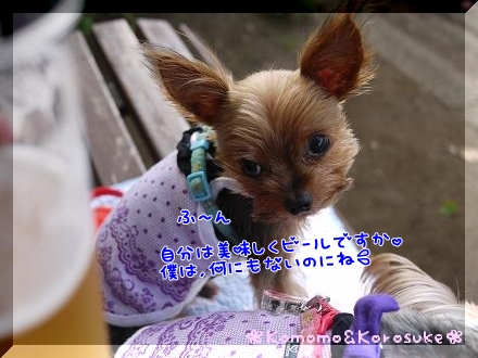 ふ～ん