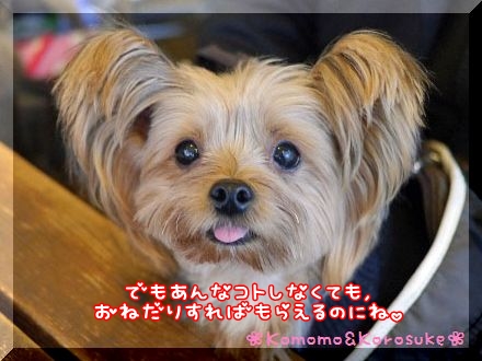 びっくり