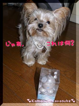 これは何？
