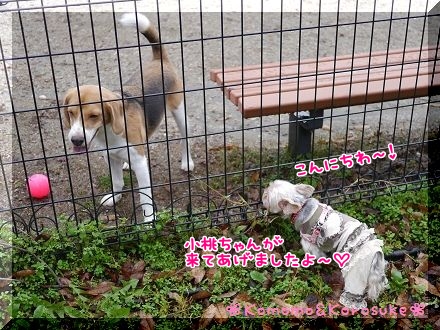 ナンパ