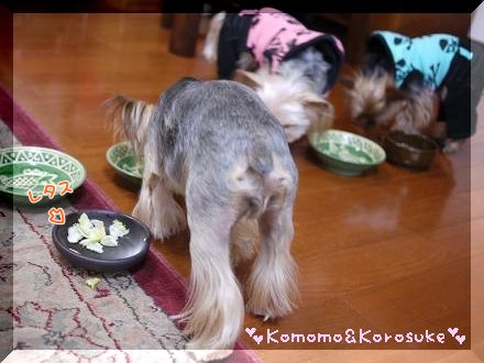 食べ残し