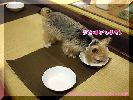 ぺろぺろ