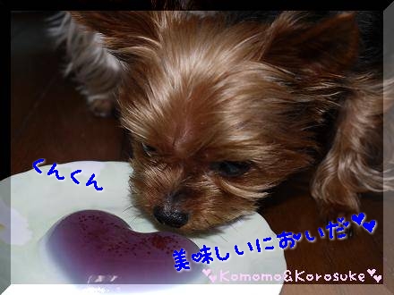 くんくん