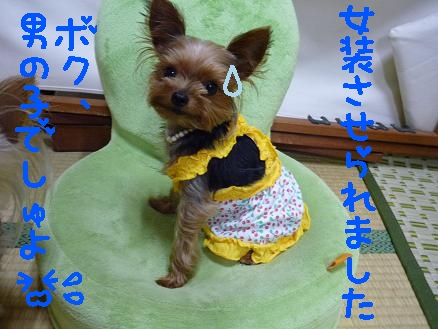 お揃い
