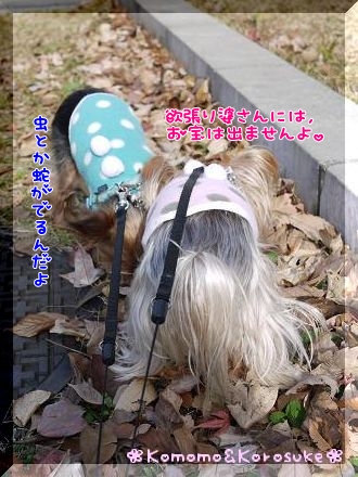 クンクン隊