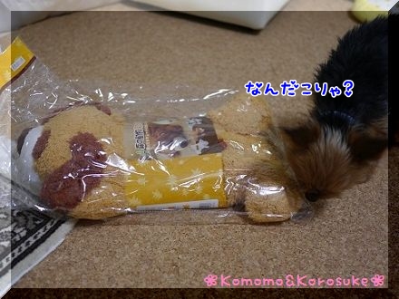 なんだこりゃ？