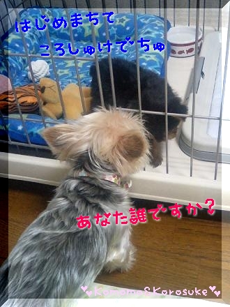 はじめまして