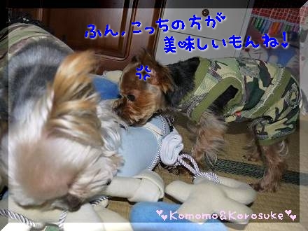 ふん