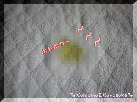 ホカホカ地図