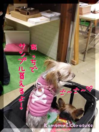 ごーごー！