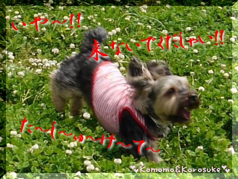 いやー