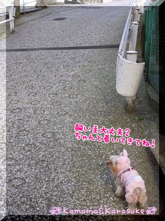 大丈夫？