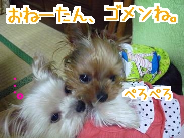 ぺろぺろ