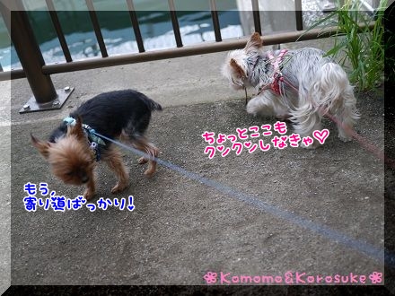 寄り道