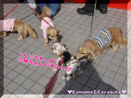 こんにちわ～