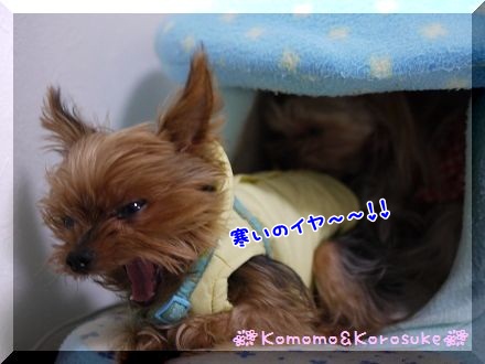 いや～