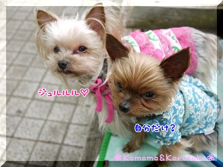ガン見