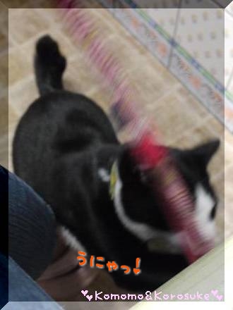 うにゃ！