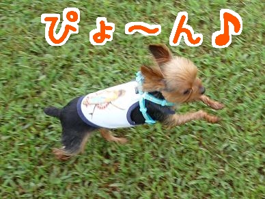 楽しい