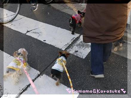 歩きます