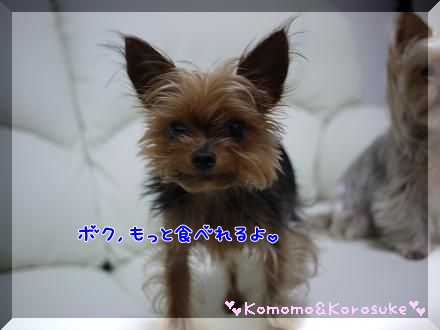 もっと