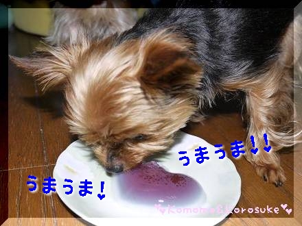 うまうま